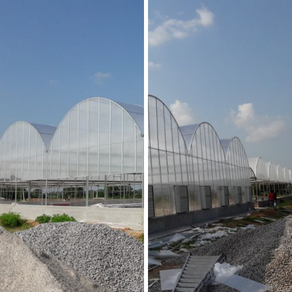 Greenhouse Project Hyderabad